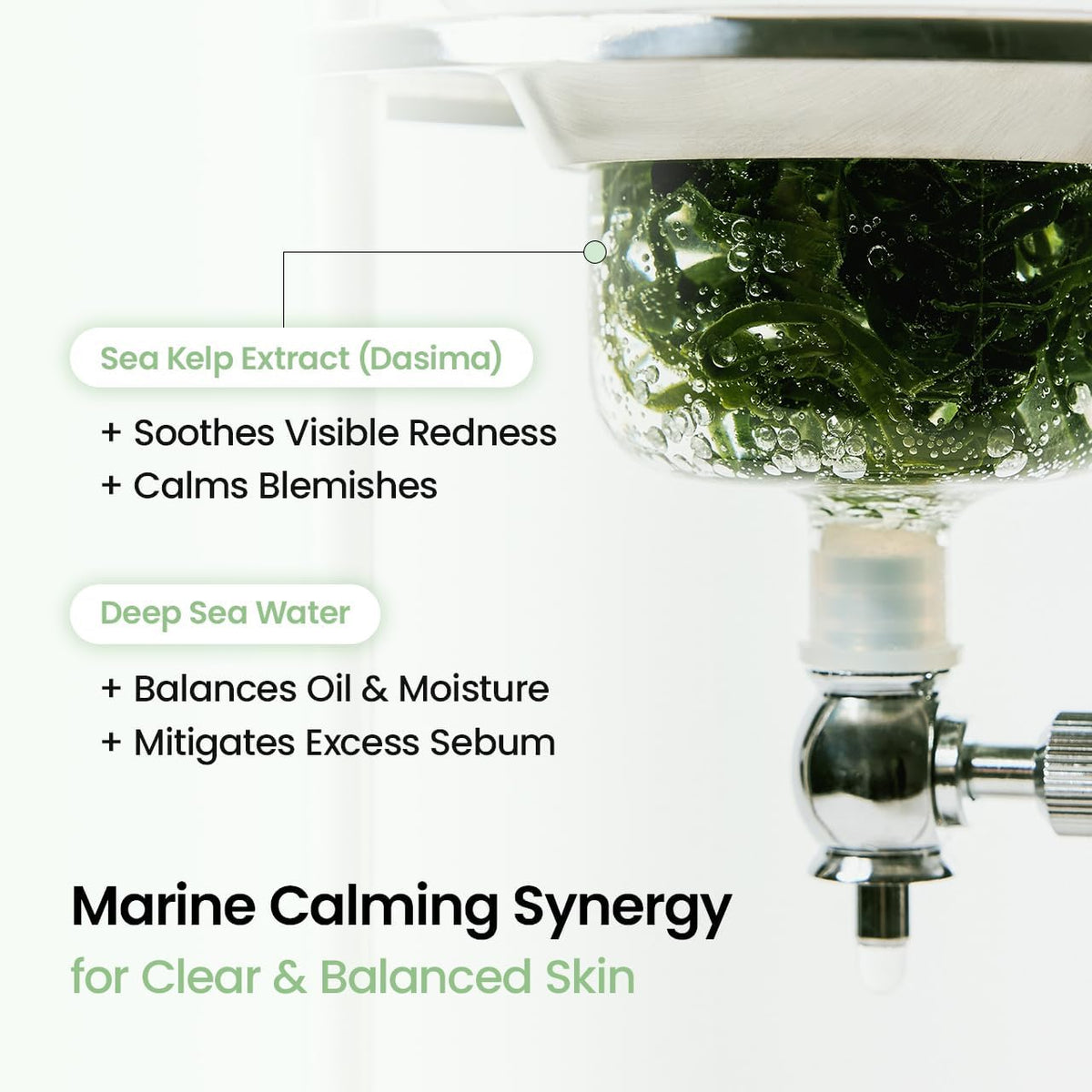 BIODANCE Refreshing Sea Kelp – soin des pores et de l’excès de sébum